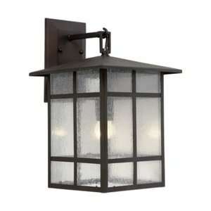 Forte 1419 01 32 Outdoor Wall Lightng, Antique Bronze Finish with 