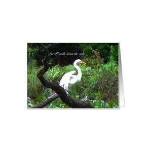 Invitation,Wedding,Bridesmaid,Great White Heron Spreads Wings Card