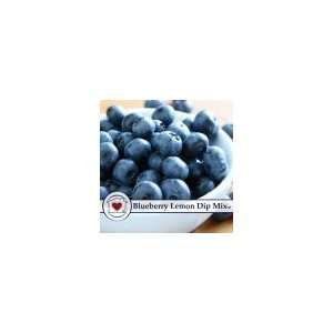 Country Home Creations Blueberry Lemon Dip Mix * Gourmet Food 10075
