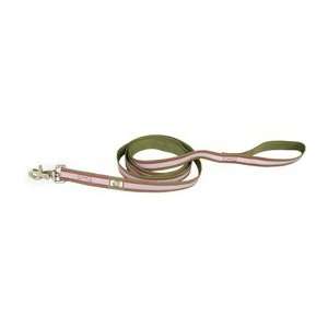  Olly Dog Nightlife II Reflective Leash Sage/Fuchsia Pet 