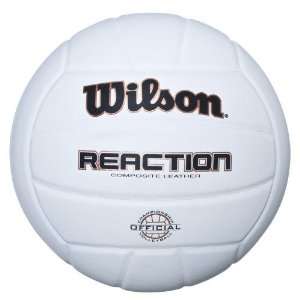 Wilson Light Volleyball 