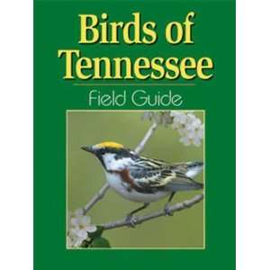  Adventure Publications Inc. AP30327 Birds Tennessee Field 
