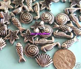   shape fishes sea stars spiral shells con shells clams and sea horses