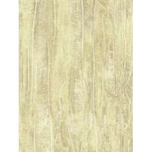  Wallpaper Seabrook Wallcovering Alicante FL70808