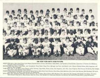 1981 NEW YORK METS TEAM PICTURE  