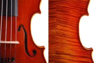New T19 Violin Full Acoustic Bow Case Advanced Model  