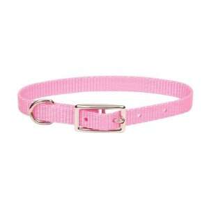  Coastal Pet 301 3/8 Inch Nylon Web Collar Bright Pink 10 