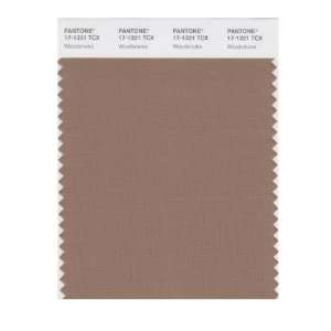   PANTONE SMART 17 1321X Color Swatch Card, Woodsmoke