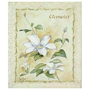  Clematis    Print