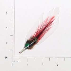  Feather Plume Pack of 3