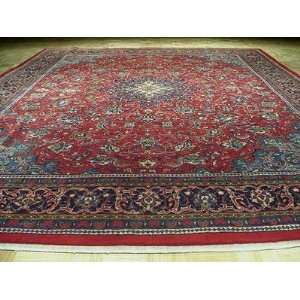   Floral Handmade Hand knotted Persian Mahal Area Rug G148 Home