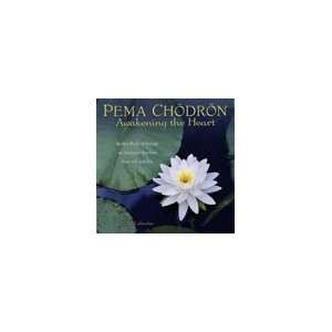  Pema Chodron Awakening The Heart 2010 Mini Calendar 