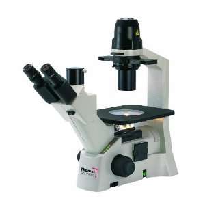Thomas 1100103800042T Inverted Binocular Microscope, 4   40x 