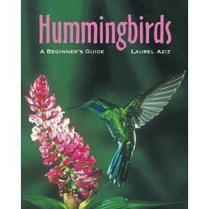 New Firefly Hummingbirds A Beginners Guide Illustrated 