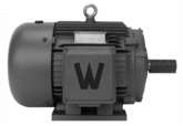 WWE 300 HP 3 PHASE 449T FRAME ELECTRIC MOTORS  