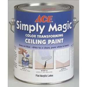  ACE SIMPLY MAGIC CEILING PAINT
