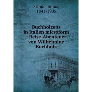    Abenteuer von Wilhelmine Buchholz Julius, 1841 1905 Stinde Books