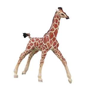  Reticulated Giraffe Cub Vanishing Wild Toys & Games