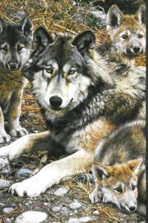 Den Mother Carl Brenders Wolf baby cubs Wolves Print  