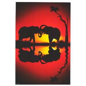  African Dreams   Inspirational Poster  24 x 36