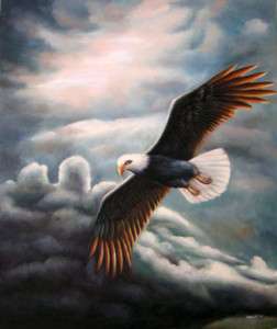 Art Oil painting flying bird hawk in the sky & sunrise  