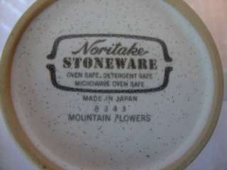 Noritake Stoneware Mountain Flowers Cup & Saucer Set (s  