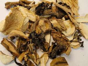Dried Mix Wild Mushrooms (BULK) 100% Natural  