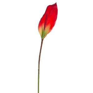  36 Peace Lily Spray Red Green (Pack of 12)