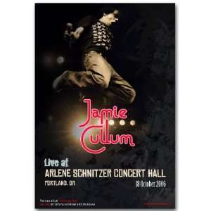  Jamie Cullum Poster   S Concert Flyer