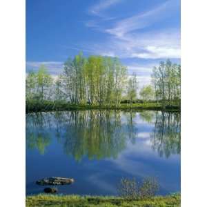  Pond Reflects Aspen & Cirrus Clouds at Sunrise on Steens 