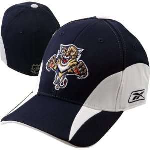  Florida Panthers Platinum Practice Flex Hat Sports 