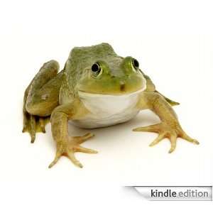 Frog   Animal Kingdom App Book Shop  Kindle Store