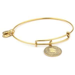 Alex and Ani Bangle Bracelet Bar Russian Gold Plated Pisces Bangle 