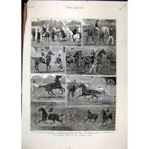  Trotting Match Alexandra Palace 1879 Horse Racing