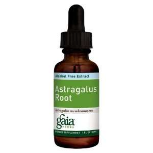  Gaia Herbs/Professional Solutions   Astragalus Root A/F 