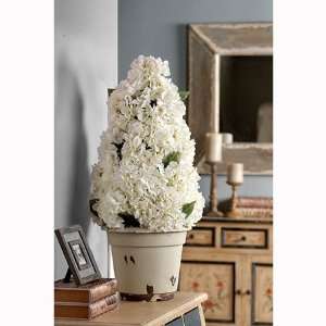  Hydrangea Tree Plant 34