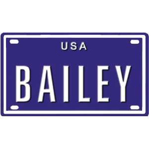  BAILEY USA MINI METAL EMBOSSED LICENSE PLATE NAME FOR BIKES 