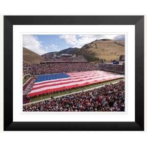   W1 15 in. x 20 in. Washington Grizzly Stadium