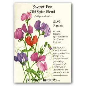  Sweet Pea Old Spice Blend Seed Patio, Lawn & Garden
