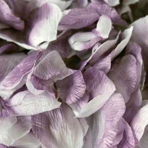  Silk Flower Petal 400 Petals, Lavender Health & Personal 