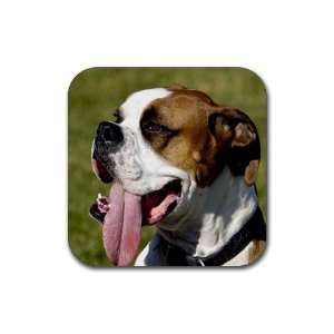 American Bulldog Rubber Coaster (4 pack) DD0010