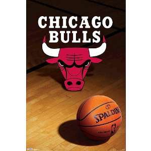  Trends Chicago Bulls Team Logo Poster