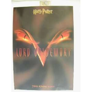  Harry Potter Poster Lord Voldemort 