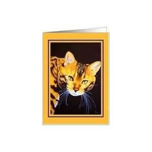 Bengal Cat Gold Eyes   Blank Card Card