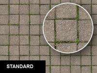 0216 Square Paving Stones Floor Texture Sheet  