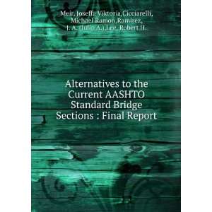  Alternatives to the Current AASHTO Standard Bridge 