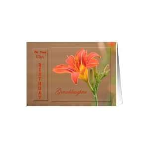   Granddaughter ~ Age Specific 41st ~ Orange Day Lily Card Toys & Games