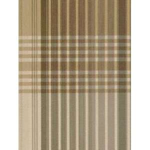  Vito Platinum by Robert Allen Fabric Arts, Crafts 