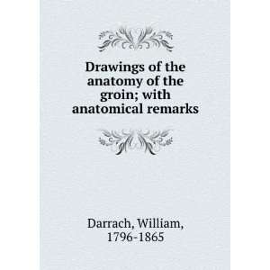 Drawings of the anatomy of the groin  with anatomical remarks W 