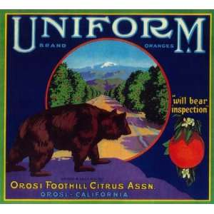Orosi, Tulare County Uniform Grizzly Bear Orange Citrus Fruit Crate 